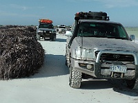 04 Seaweed Getting Taller